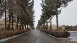 بارش برف زمستانی دانشکده