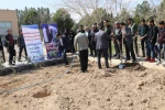 آیین نیکوی درختکاری در دانشکده