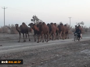 کویرنوردی کارکنان اداری دانشکده فنی شهید رجائی کاشان در کویر فیض آباد، تقی آباد کاشان 9