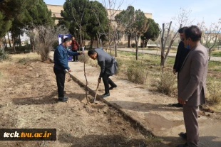 اجرای برنامه جمعی درختکاری در روز ولادت حضرت اباعبدالله الحسین علیه السلام، روز پاسدار و روز درختکاری در دانشکده فنی شهید رجائی کاشان 3
