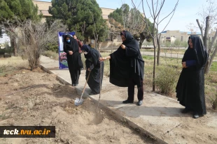 اجرای برنامه جمعی درختکاری در روز ولادت حضرت اباعبدالله الحسین علیه السلام، روز پاسدار و روز درختکاری در دانشکده فنی شهید رجائی کاشان 5