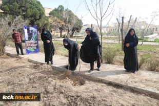 اجرای برنامه جمعی درختکاری در روز ولادت حضرت اباعبدالله الحسین علیه السلام، روز پاسدار و روز درختکاری در دانشکده فنی شهید رجائی کاشان 7