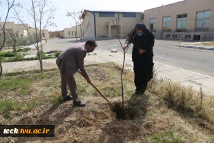 اجرای برنامه جمعی درختکاری در روز ولادت حضرت اباعبدالله الحسین علیه السلام، روز پاسدار و روز درختکاری در دانشکده فنی شهید رجائی کاشان 17