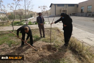 اجرای برنامه جمعی درختکاری در روز ولادت حضرت اباعبدالله الحسین علیه السلام، روز پاسدار و روز درختکاری در دانشکده فنی شهید رجائی کاشان 18