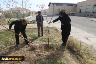 اجرای برنامه جمعی درختکاری در روز ولادت حضرت اباعبدالله الحسین علیه السلام، روز پاسدار و روز درختکاری در دانشکده فنی شهید رجائی کاشان 19