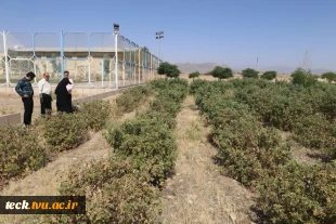 برگزاری نشست مشترک بین روسای دانشکده فنی و حرفه ای شهیدرجائی و اداره جهاد سازندگی شهرستان کاشان 12